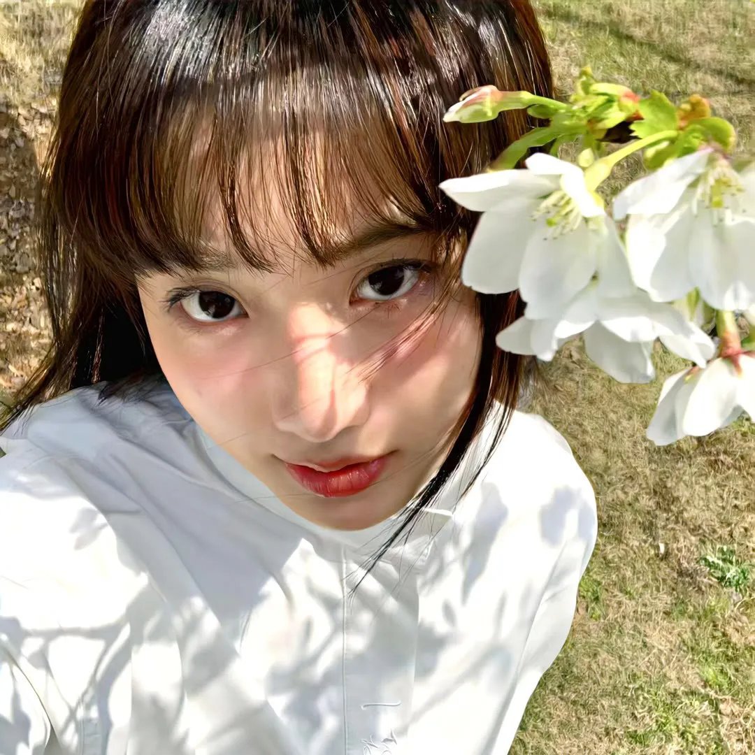 潘及的秘密日记剧场版